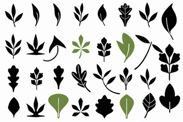 leaf vector icon set nature green eco plant tree organic design illustration graphic environment logo template flat symbol element sign botanical natural ecology art herbal foliage floral leaves i