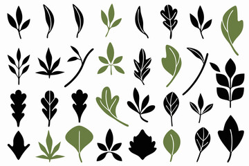 leaf vector icon set nature green eco plant tree organic design illustration graphic environment logo template flat symbol element sign botanical natural ecology art herbal foliage floral leaves i
