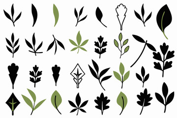leaf vector icon set nature green eco plant tree organic design illustration graphic environment logo template flat symbol element sign botanical natural ecology art herbal foliage floral leaves i