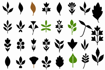 leaf vector icon set nature green eco plant tree organic design illustration graphic environment logo template flat symbol element sign botanical natural ecology art herbal foliage floral leaves i