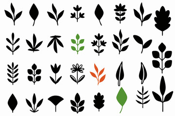 leaf vector icon set nature green eco plant tree organic design illustration graphic environment logo template flat symbol element sign botanical natural ecology art herbal foliage floral leaves i