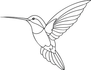 Fototapeta premium Hummingbird Line Art. Minimalist Bird Illustration. Isolated Design Element On White