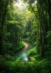 Obraz premium Lush Green Tropical Forest River Landscape