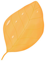 illustration of leaf.