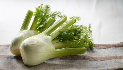 Fennel Beauty: Two fresh fennel bulbs are displayed on a rustic cloth, capturing the essence of culinary freshness and simple elegance.