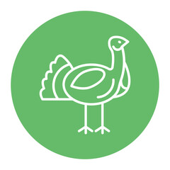 Turkey Icon