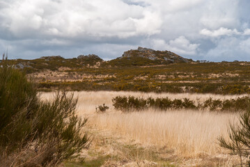 Wędrówki po Górach Arrée ,Bretania, Francja