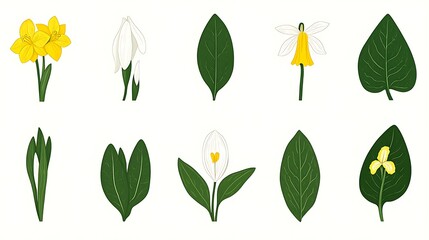 Fototapeta premium Detailed illustration showcasing various stages of plant growth, featuring yellow and white flowers, and varying leaf shapes and sizes. The pixel art style is evident in the image's composition