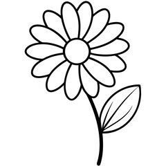 Daisy line art vector illustration on white background