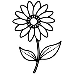 Daisy line art vector illustration on white background