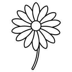 Daisy line art vector illustration on white background
