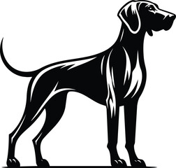 Hound Standing Alert Silhouette with Elegant and Muscular Form