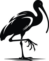 Elegant Ibis Silhouette Standing on One Leg