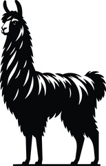 Llama Standing Proudly in Black and White Silhouette