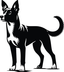 Alert Mongrel Dog Silhouette with Perked Ears and Raised Tail