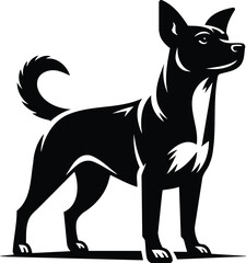 Alert Mongrel Dog Silhouette with Perked Ears and Raised Tail