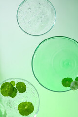 Petri dishes contained a transparent gel, shimmering with light and filled with tiny bubbles. The gotu kola leaves floated on the surface of the gel, revealing the leaf veins and white petioles.
