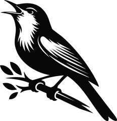 Nightingale Singing on Branch Silhouette Vector Illustration