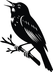 Nightingale Singing on Branch Black and White Silhouette