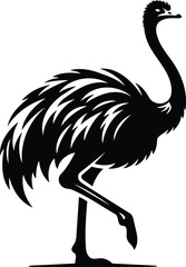 Elegant Ostrich Silhouette in Modern Illustration Style