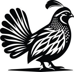 Proud Quail Silhouette Standing Tall in Modern Vector Art