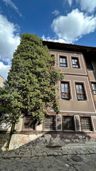 Old Brown Building With Wooden Window Frames And A Large Tree Growing Beside A Weathered Wall On A Cobblestone Street, Urban Heritage Scene, Real Estate, Preservation, Tourism