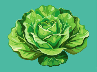 Obraz premium A professional vector of crisp lettuce with organic shading and curly edges, placed on a solid mint green background