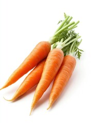 A bunch of four fresh, orange carrots with green tops, isolated on a white background