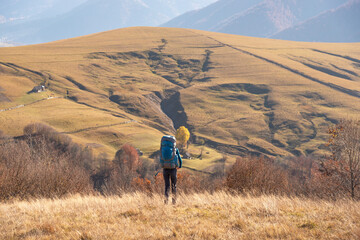 Back view of woman descending grassy mountain hill with backpack in fall. Scenic hills and golden...