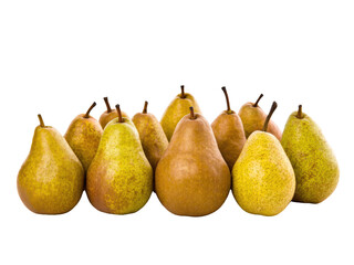 Big collection of ripe pears, isolated on white background standard