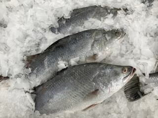 Fresh Asian seabass fishes on ice at supermarket.