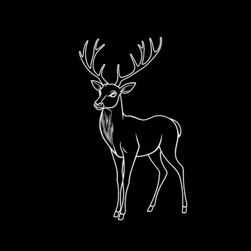 Minimalistische Linienzeichnung eines wei&szlig;en Hirsches mit Geweih auf schwarzem Hintergrund. Ideal f&uuml;r Naturdesigns und moderne Deko.