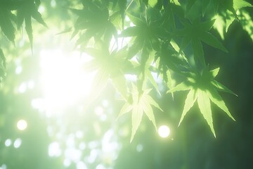 Naklejka premium Sunlit Green Maple Leaves Nature Backdrop