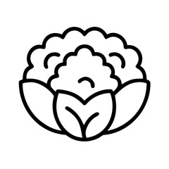 Cauliflower outline vector illustration, healthy eating, fresh vegetable, organic food, vegan diet
