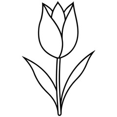 Obraz premium Tulip with 2 leaf line art vector illustration on white background