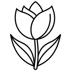 Tulip with 2 leaf line art vector illustration on white background