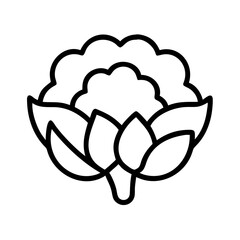 Isolated cotton flower vector illustration for organic textile and fashion design element