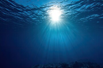 Sunlight beams underwater