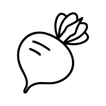 recommend clip art: Vector illustration of fresh beetroot vegetable outline drawing healthy food ingredient isolated on white background
