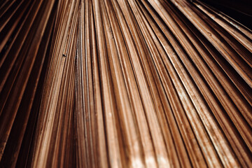 Striped green palm leaf, textured leaves summer tropical plant as natural banner background. Green monochrome aesthetic botanical biophilic texture, nature foliage scenery, soft focus, close up