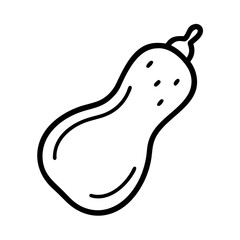 Butternut squash vector illustration outline drawing isolated autumn vegetable food design element
