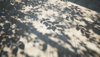 Nature shadows on pavement urban garden photography outdoor setting ground level view artistic concept