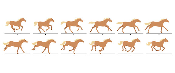 Cartoon running horse animation frames. Galloping, horses gait movement cycle sequence, animated canter. Racehorse running isolated vector illustration set.