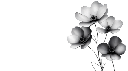 Minimalist black flower outline isolated on white background