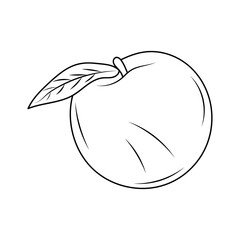 peach doodle art line