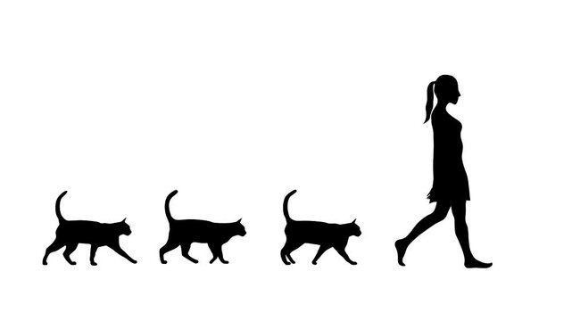 Animation with a girl with three cats walking on the white background (seamless loop)