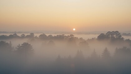 Fototapeta premium Sunrise over misty forest nature landscape photography early morning fog peaceful environment aerial view tranquility
