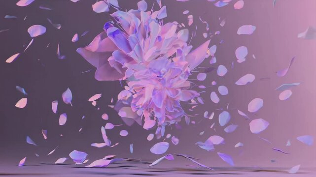 Purple flower elegantly exploding into petals, seamless loop animation