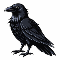 Fototapeta premium crow on a white background