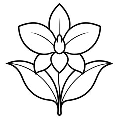 Orchid vector illustration of a flower